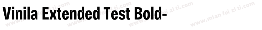 Vinila Extended Test Bold字体转换